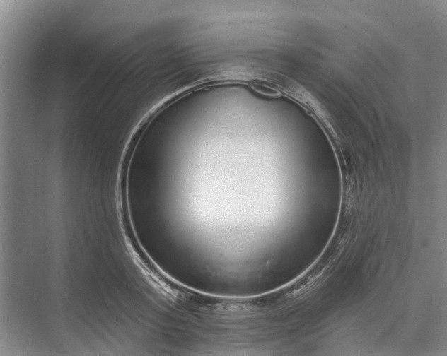 X0000072940795200608041240