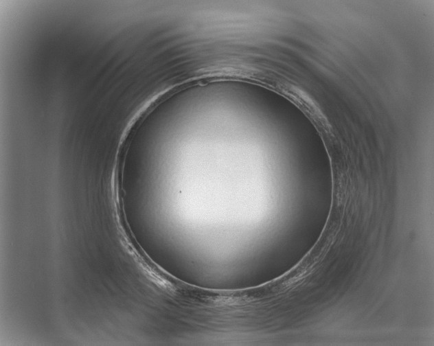 X0000072940796200608041240