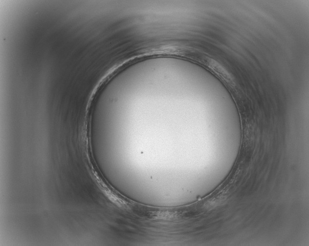 X0000072940800200608041240