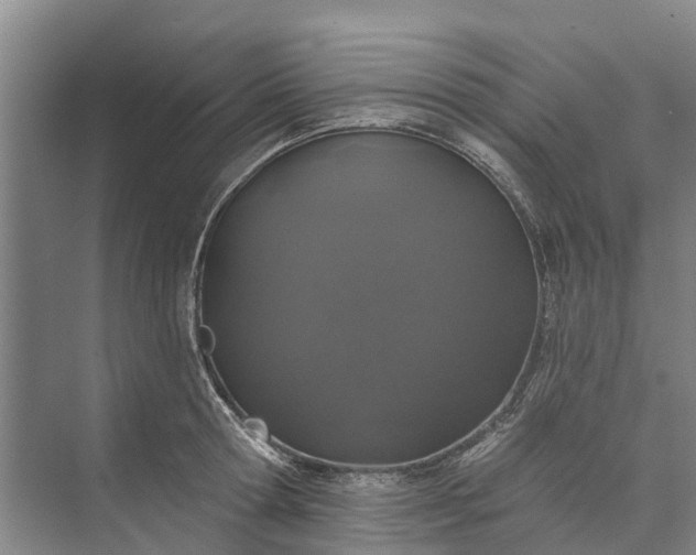 X0000072940802200608041240