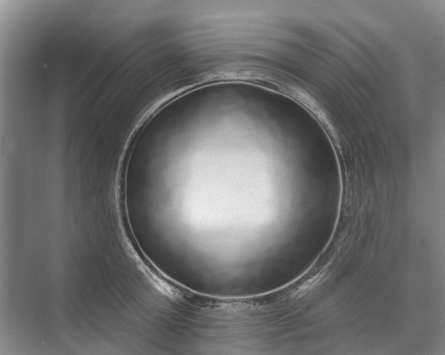 X0000072940803200608041240