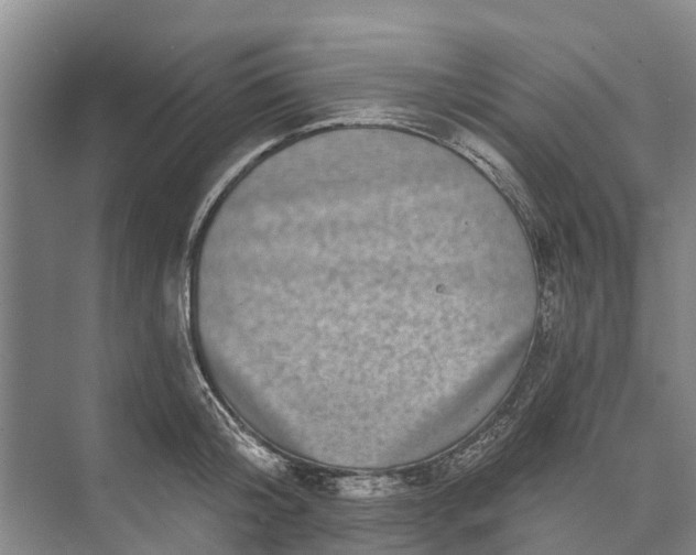 X0000072940804200608041240