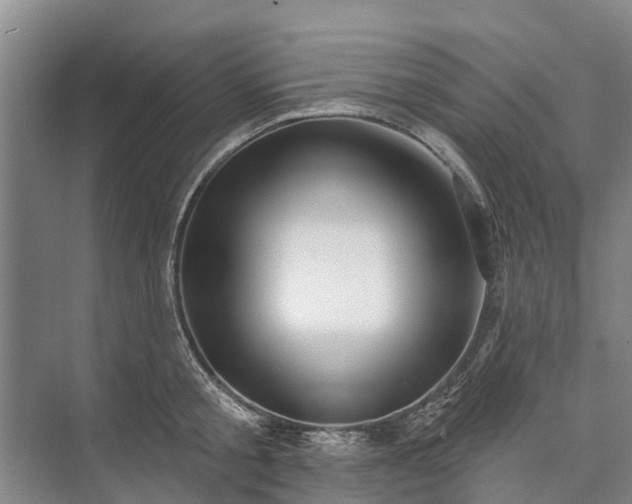 X0000072940805200608041240