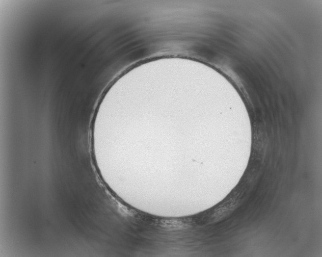 X0000072940807200608041240