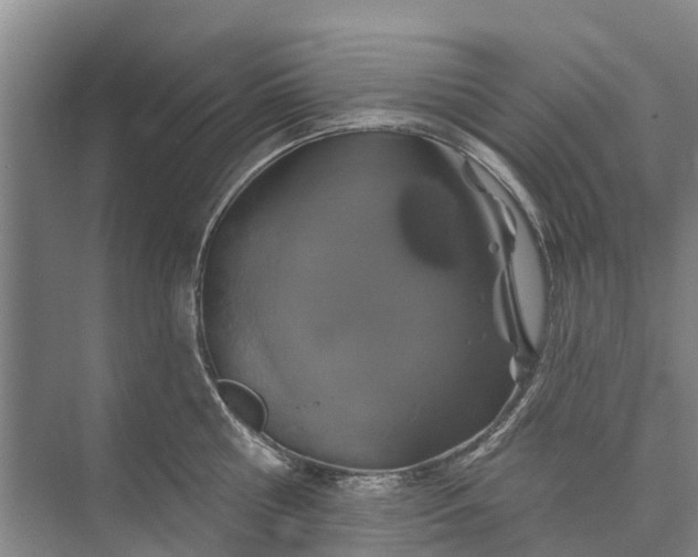 X0000072940810200608041240