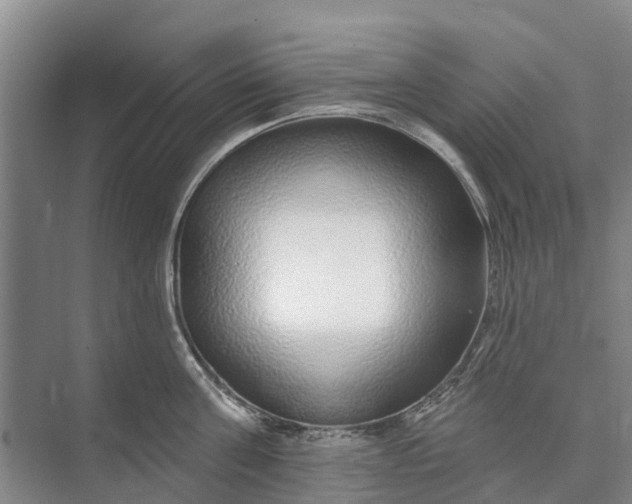 X0000072940811200608041240