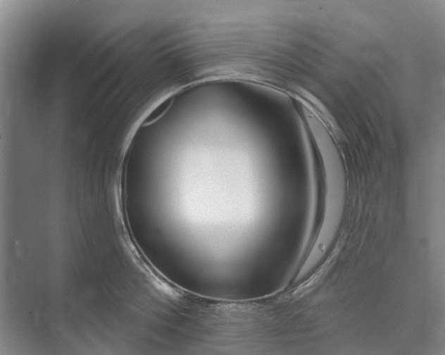 X0000072940812200608041240