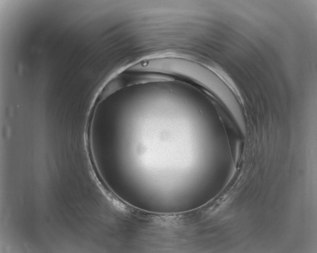 X0000072940813200608041240