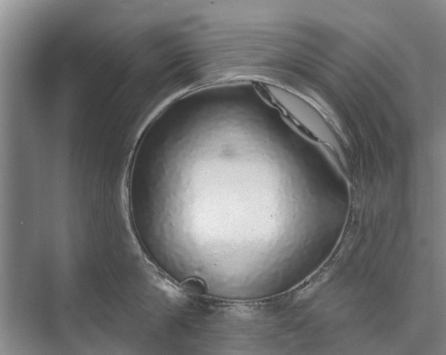 X0000072940814200608041240