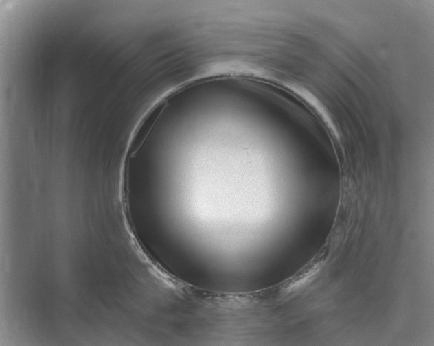 X0000072940815200608041240