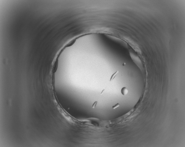 X0000072940816200608041240