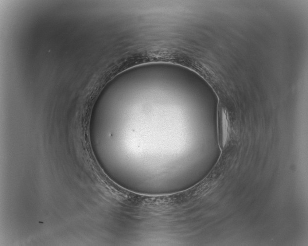 X0000072940817200608041239