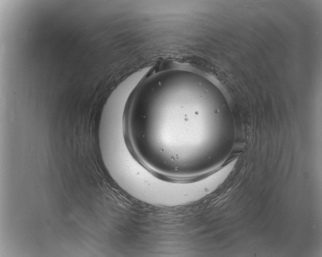 X0000072940818200608041239