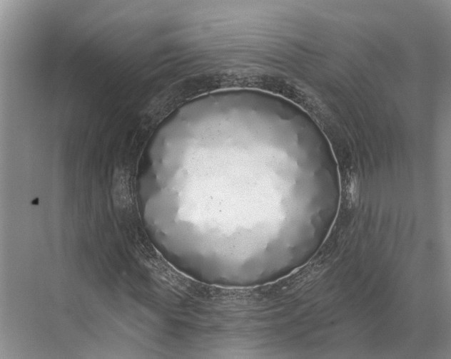 X0000072940819200608041239