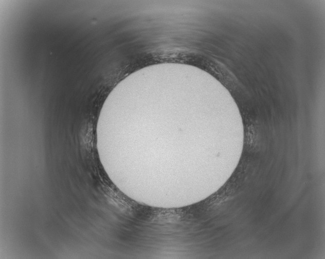 X0000072940820200608041239