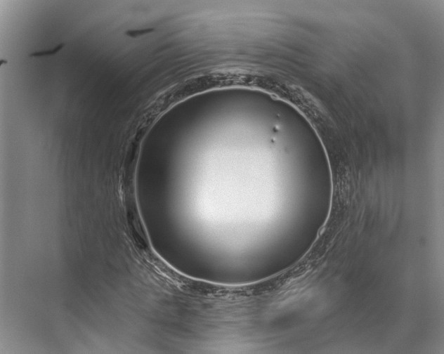 X0000072940821200608041239