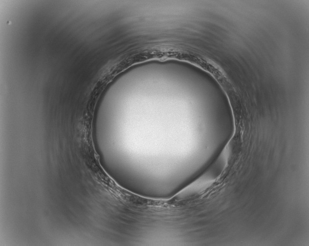 X0000072940823200608041239