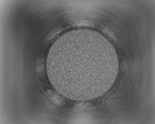 X0000072940824200608041239