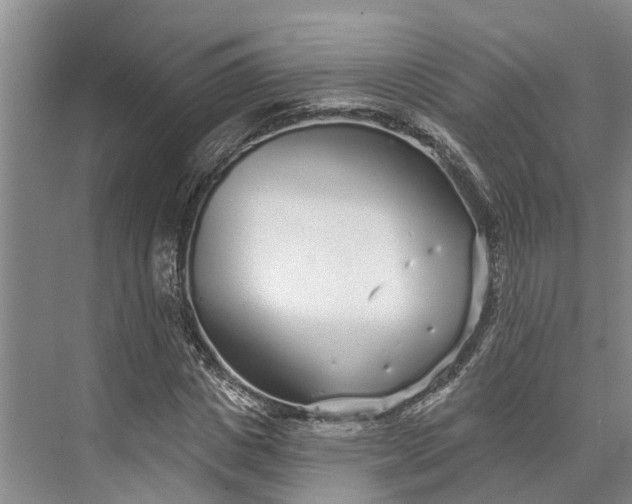 X0000072940825200608041239