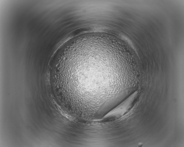 X0000072940827200608041239