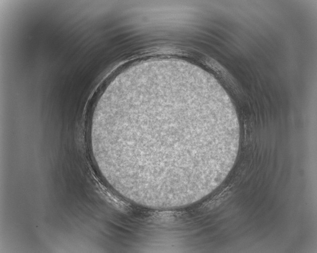 X0000072940828200608041239