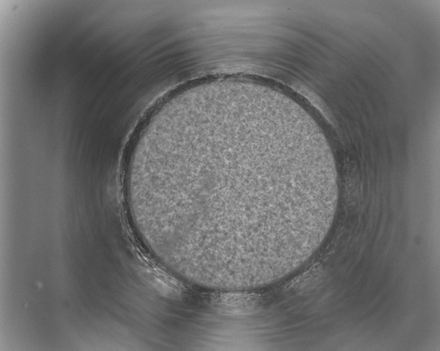 X0000072940832200608041240