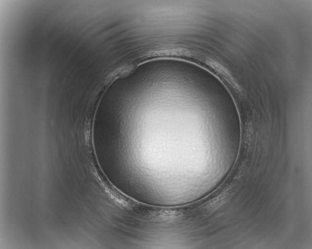 X0000072940841200608041240