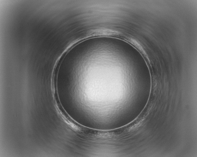 X0000072940843200608041240