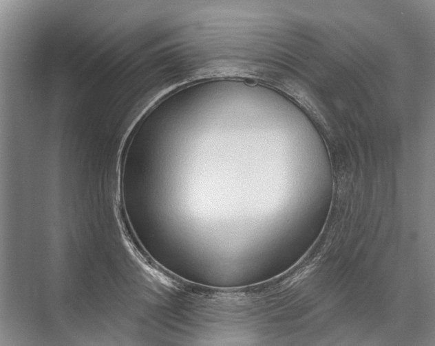 X0000072940844200608041240