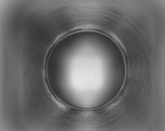 X0000072940845200608041240