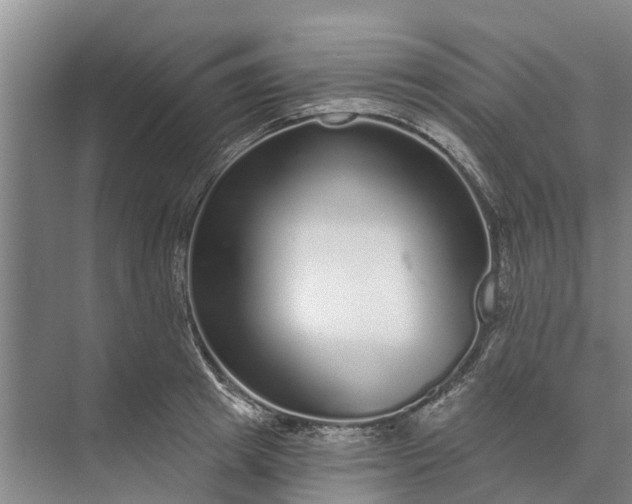 X0000072940849200608041240