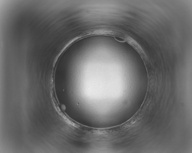 X0000072940852200608041240