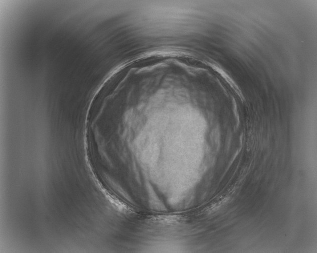 X0000072940853200608041240