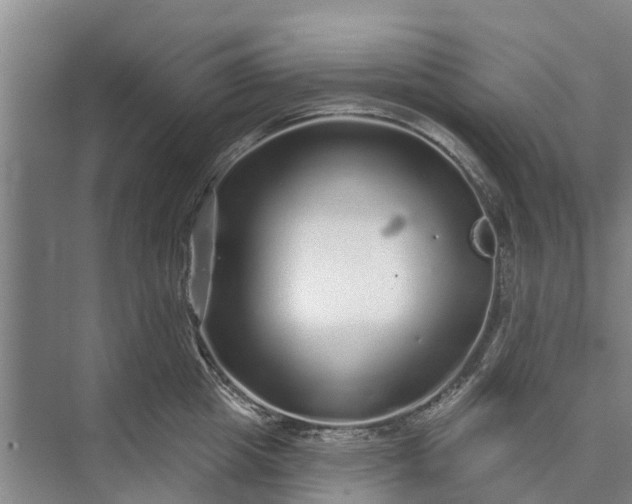 X0000072940857200608041240