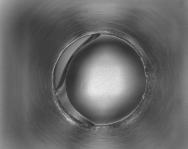 X0000072940858200608041240