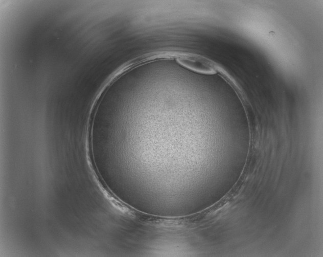 X0000072940861200608041240