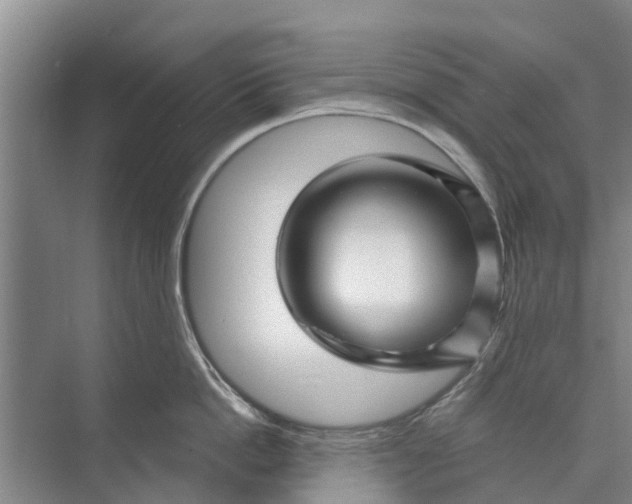 X0000072940862200608041240