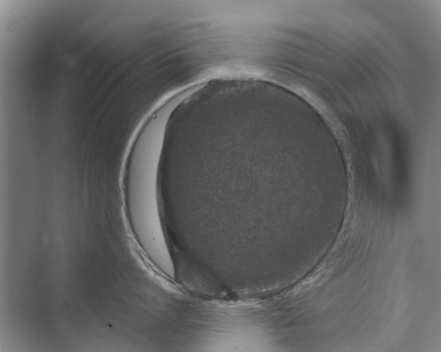 X0000072940864200608041240