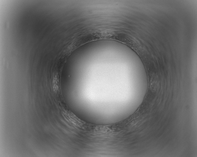 X0000072940866200608041239