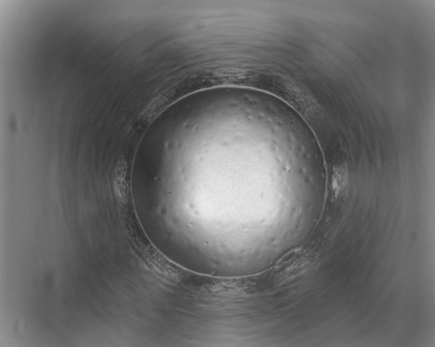 X0000072940867200608041239