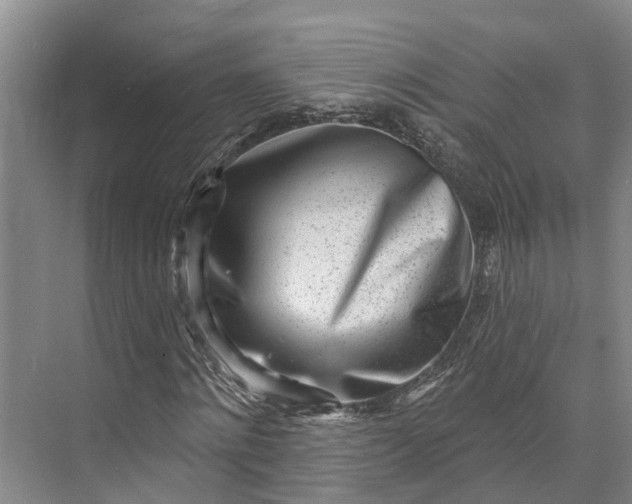 X0000072940868200608041239