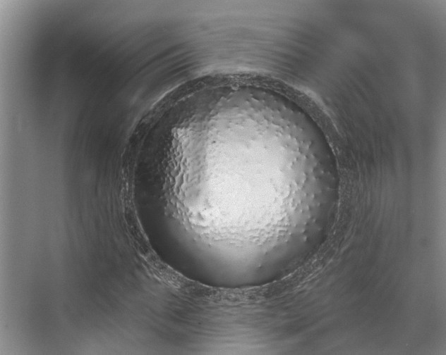 X0000072940871200608041239