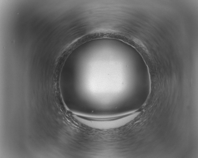 X0000072940872200608041239