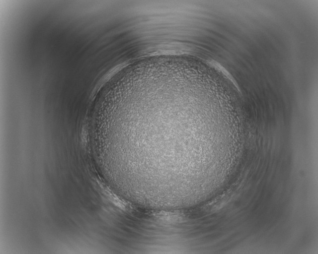 X0000072940874200608041239