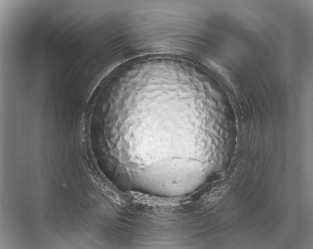 X0000072940875200608041239