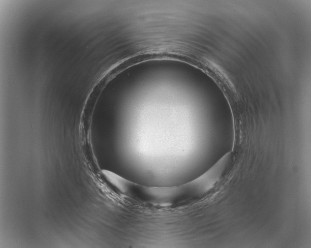 X0000072940876200608041239