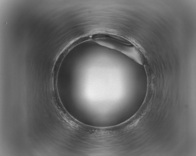 X0000072940877200608041239