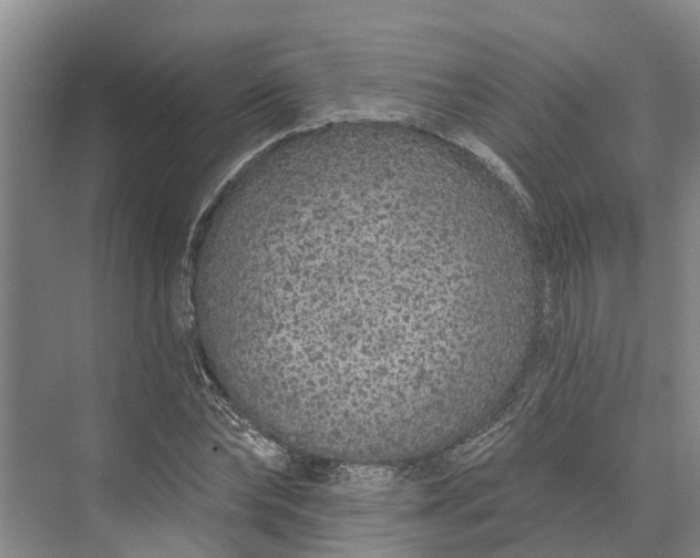 X0000072940878200608041239