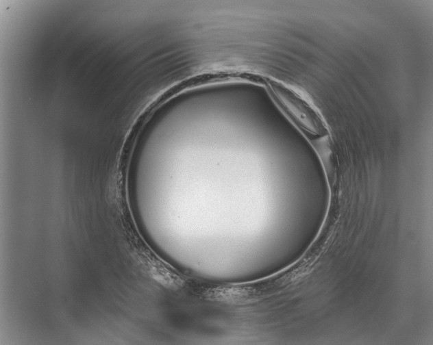 X0000072940879200608041239