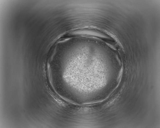 X0000072940881200608041239